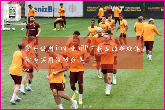 新手使用im电竞APP下载后的游戏体验与实用技巧分享