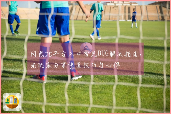 问鼎pg平台入口常见BUG解决指南，老玩家分享修复技巧与心得